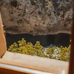Le Relais De Tamaroque 3* Portel-des-Corbieres