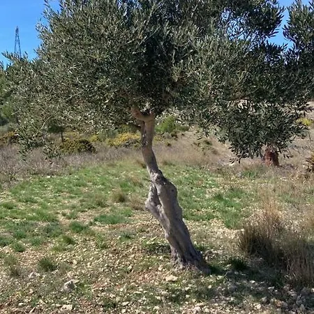 Le Relais De Tamaroque Portel-des-Corbieres