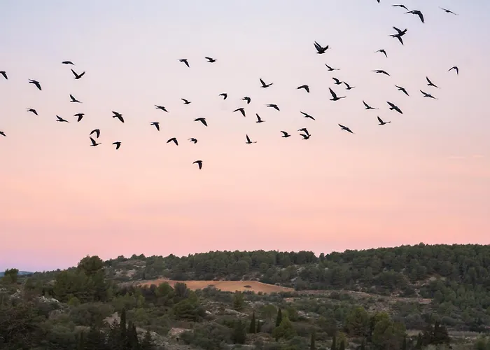 Le Relais De Tamaroque