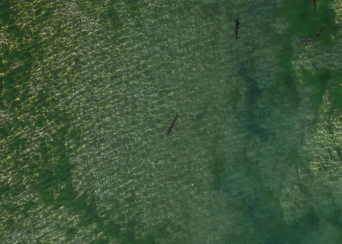 Le Relais De Tamaroque 3*