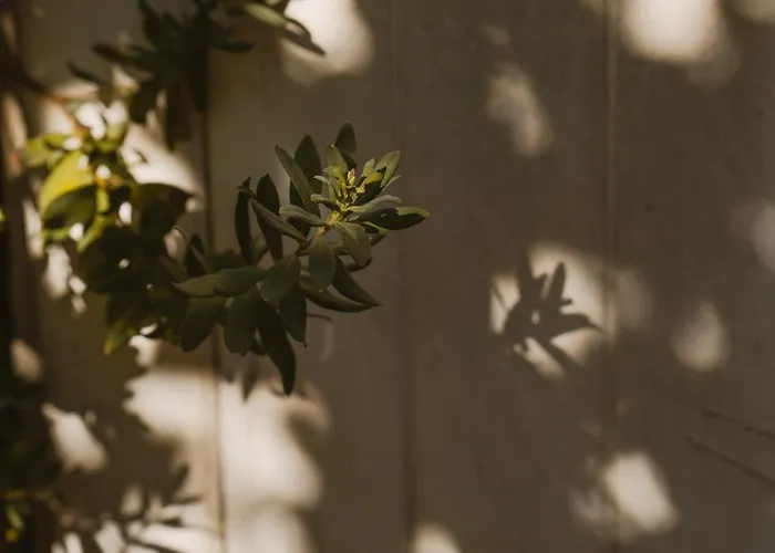 Le Relais De Tamaroque 3*